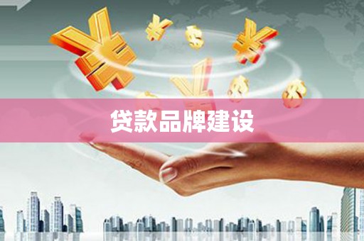 来宾贷款品牌建设