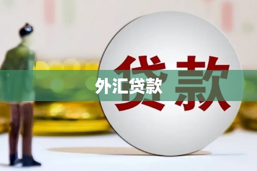 勉县外汇贷款