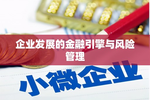 东宝企业发展的金融引擎与风险管理