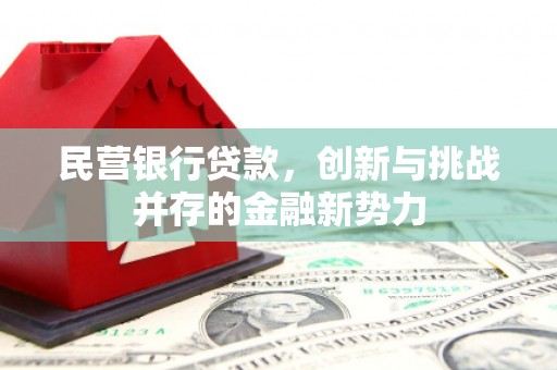 凤城民营银行贷款，创新与挑战并存的金融新势力