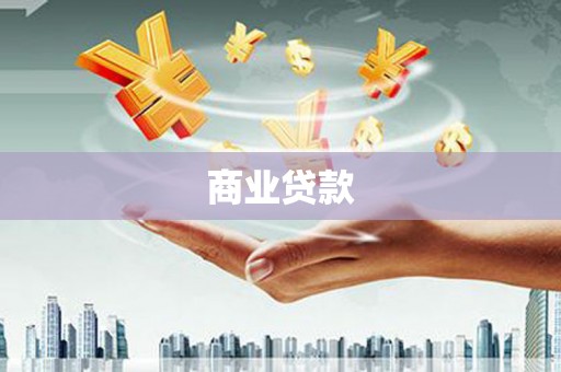 乐东商业贷款