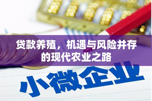 襄阳贷款养殖，机遇与风险并存的现代农业之路