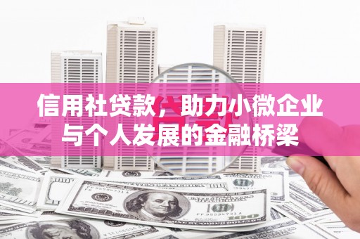 阜城信用社贷款，助力小微企业与个人发展的金融桥梁