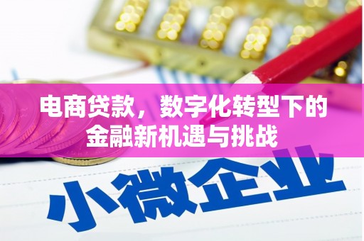 成武电商贷款，数字化转型下的金融新机遇与挑战
