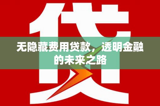 阜康无隐藏费用贷款，透明金融的未来之路