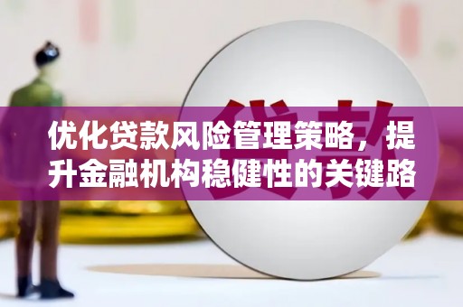 抚远优化贷款风险管理策略，提升金融机构稳健性的关键路径