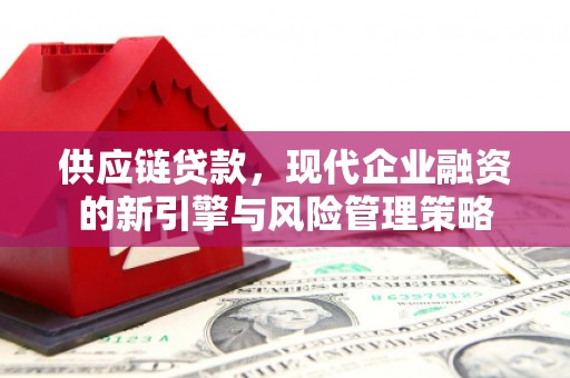 洋县供应链贷款，现代企业融资的新引擎与风险管理策略