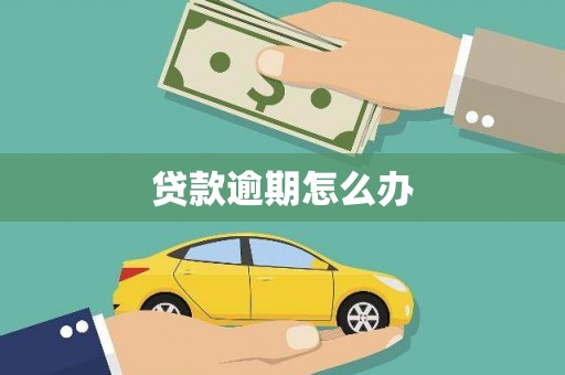 海南贷款逾期怎么办