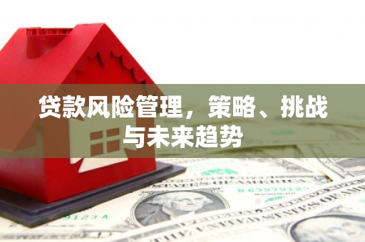 丰宁贷款风险管理，策略、挑战与未来趋势