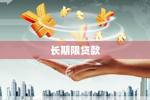 利辛长期限贷款