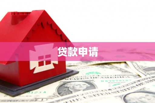 万峦贷款申请