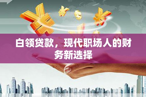 罗山白领贷款，现代职场人的财务新选择