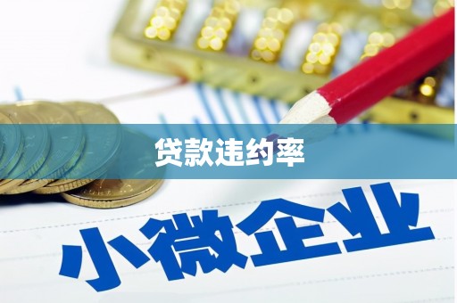 广水贷款违约率