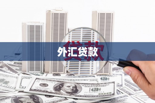 五股外汇贷款