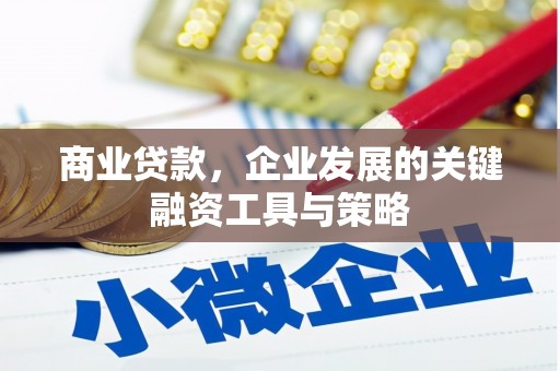 岳塘商业贷款，企业发展的关键融资工具与策略