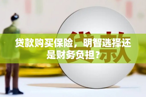 宁乡贷款购买保险，明智选择还是财务负担？