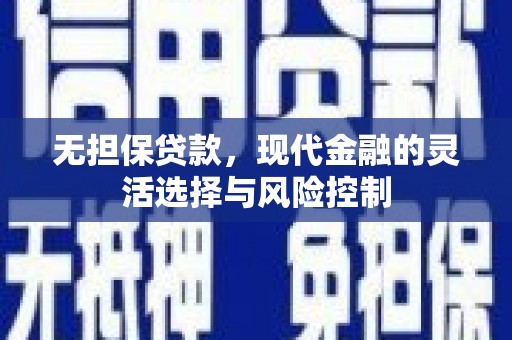 阳春无担保贷款，现代金融的灵活选择与风险控制