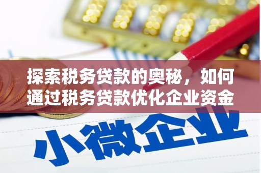 汝阳探索税务贷款的奥秘，如何通过税务贷款优化企业资金流
