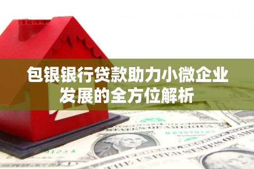 府谷包银银行贷款助力小微企业发展的全方位解析 府谷包银银行贷款助力小微企业发展的全方位解析