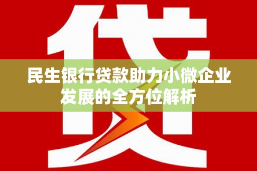 林园民生银行贷款助力小微企业发展的全方位解析