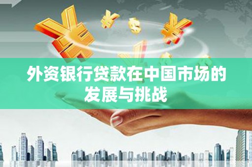 汐止外资银行贷款在中国市场的发展与挑战