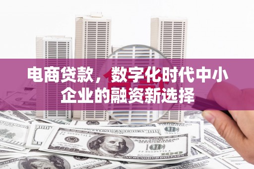 海盐电商贷款，数字化时代中小企业的融资新选择