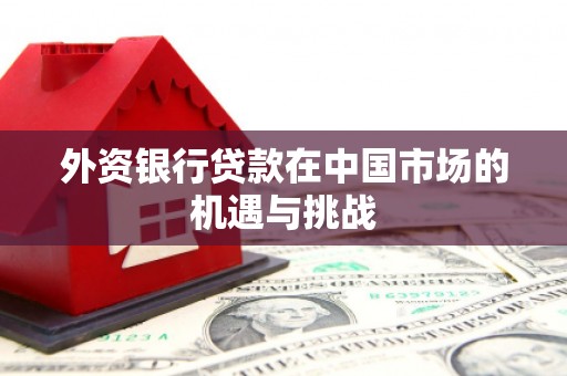 虾峙外资银行贷款在中国市场的机遇与挑战