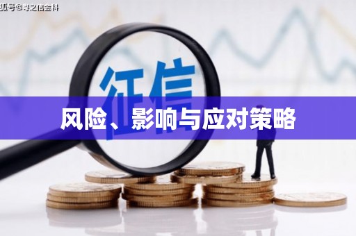 平武风险、影响与应对策略