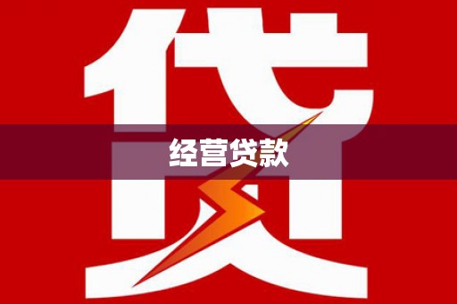 桑日经营贷款