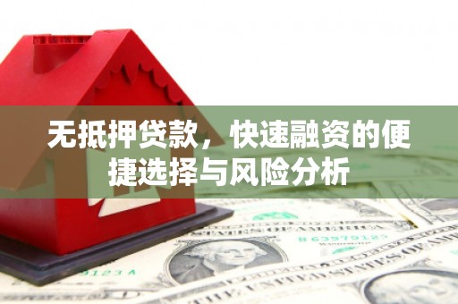 墨竹工卡无抵押贷款，快速融资的便捷选择与风险分析