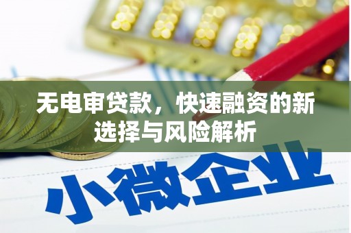 泰安无电审贷款，快速融资的新选择与风险解析