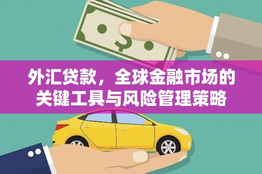 新华外汇贷款，全球金融市场的关键工具与风险管理策略