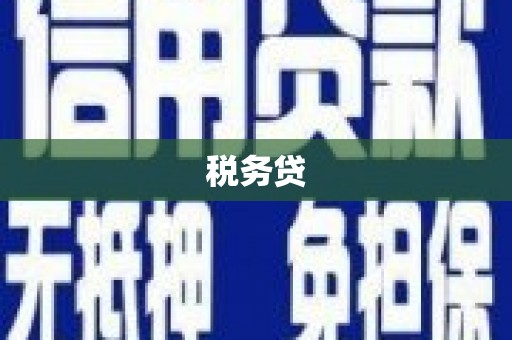 通海税务贷