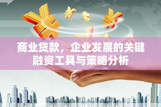 东乌旗商业贷款，企业发展的关键融资工具与策略分析