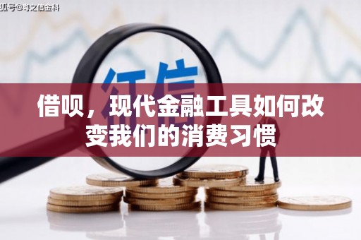 习水借呗，现代金融工具如何改变我们的消费习惯