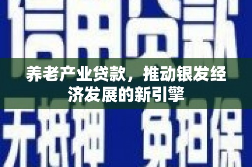 镇巴养老产业贷款，推动银发经济发展的新引擎