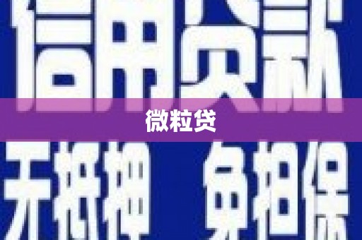 罗山微粒贷