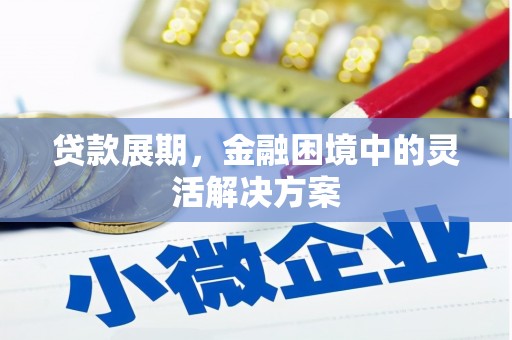 白玉贷款展期，金融困境中的灵活解决方案