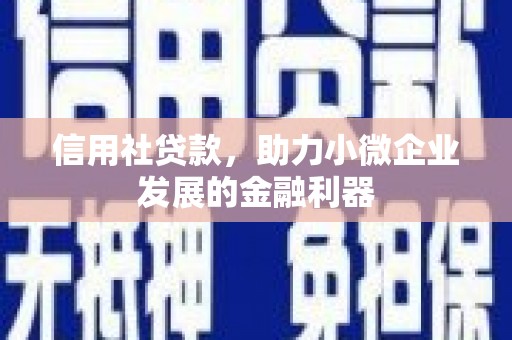 仁怀信用社贷款，助力小微企业发展的金融利器