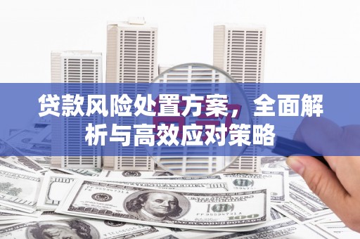 耀州贷款风险处置方案，全面解析与高效应对策略