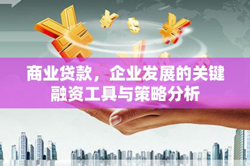 仙桃商业贷款，企业发展的关键融资工具与策略分析