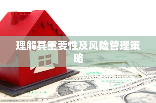 雄县理解其重要性及风险管理策略