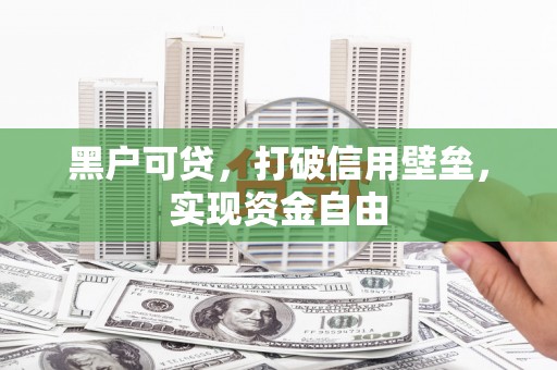 应县黑户可贷，打破信用壁垒，实现资金自由