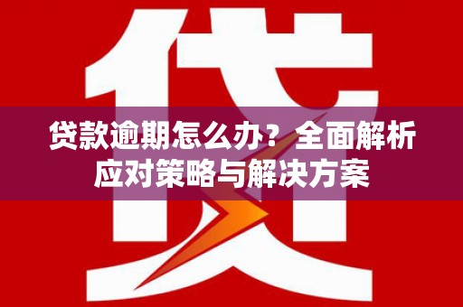 东营贷款逾期怎么办？全面解析应对策略与解决方案