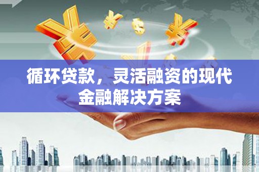 舞阳循环贷款，灵活融资的现代金融解决方案