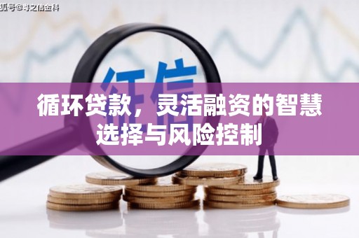 矿区循环贷款，灵活融资的智慧选择与风险控制