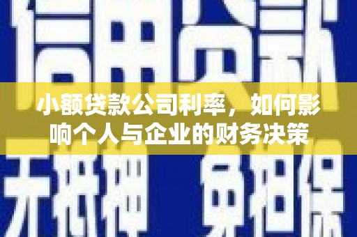 云龙小额贷款公司利率，如何影响个人与企业的财务决策