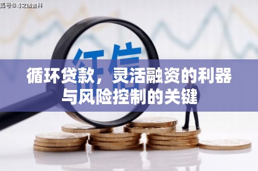 秦淮循环贷款，灵活融资的利器与风险控制的关键