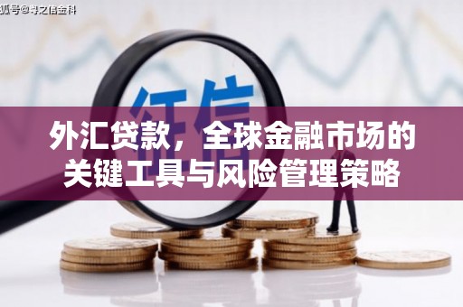 达日外汇贷款，全球金融市场的关键工具与风险管理策略