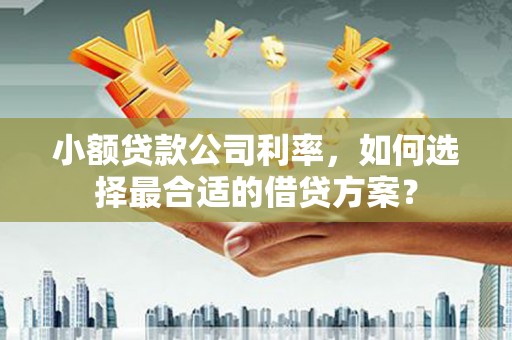东昌小额贷款公司利率，如何选择最合适的借贷方案？